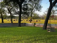 Luxury Private Ranch Duplex Peaceful, Beautiful, Safe, Clean - Paradise Found!!