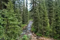 Creekside Cottage - Mountain Lovers Dream