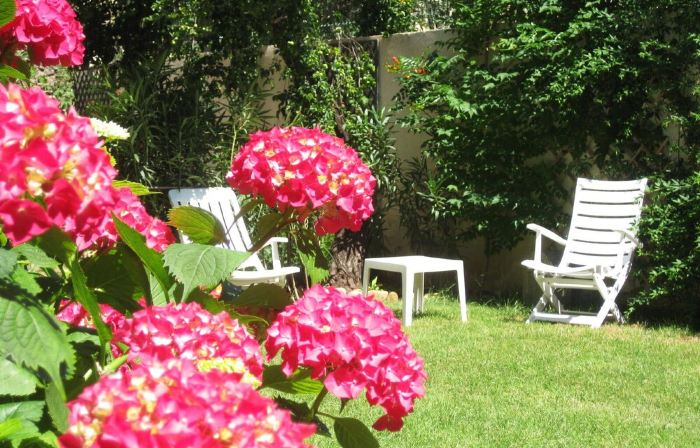Spacious garden center of Pezenas