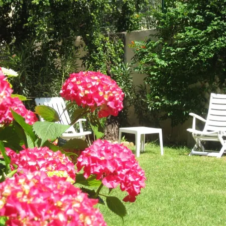 Spacious garden center of Pezenas