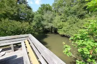 Falling Waters - 150' Waterfall right behind the house!