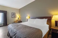 베스트 웨스턴 하이 로드 인