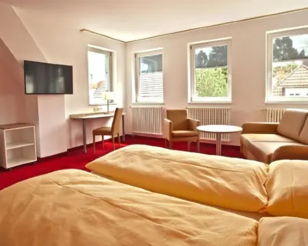 Sternplatz-Hotel Hotels in Ehingen