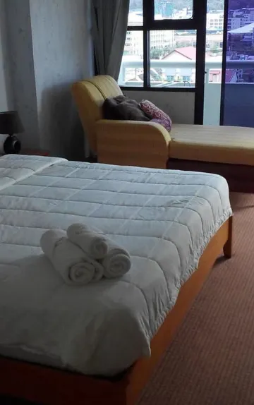 อพาร์ตเมนต์แบบหนึ่งห้องนอนที่มีวิวภูเขา