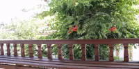 Limon Pansiyon 2