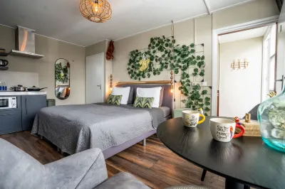 The Lion King Hotels in 