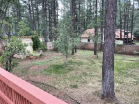 Dog friendly 3-bedroom house in the tall pines close to golf & skiing.