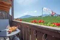 Hotel Jonathan - Mountain view
