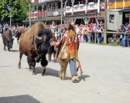 Ferienpark Harz in Hasselfelde