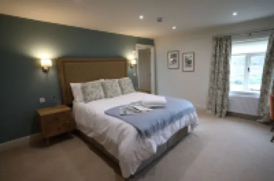 ذا ريزينج سن فنادق في 