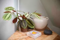 Georgian Loft Apartment - Central Bath