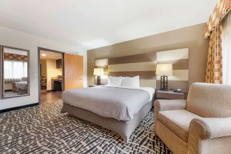 Quality Inn & Suites Mayo Clinic Area