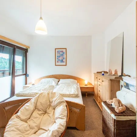 Apartment Tauplitz Near Ski Lift & Slopes