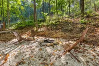 Pet-Friendly Treehouse - Amazonia - an exclusive experience in Red River Gorge, Kentucky! Hotels in Lee County