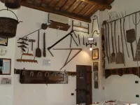Agriturismo le Clementine