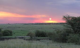 Mara Major Camp