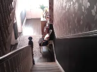 セント アイデンズ ゲストハウス ダブリンのホテル