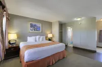 Budget Inn - St. Petersburg Hôtels à : Gulfport