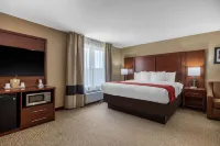 Comfort Suites Pelham Hoover I-65