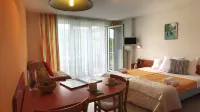 Vvf Alsace Orbey Colmar Hotels in Plainfaing