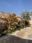 Dar Almajula
