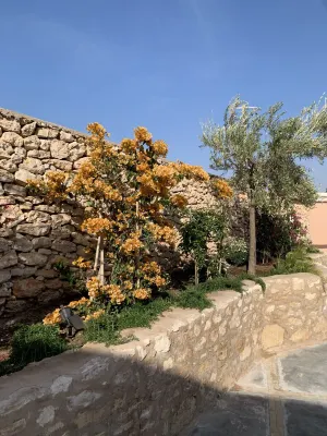 Dar Almajula