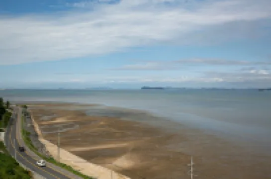 Tomonoya Hotel & Ryokan Daecheon