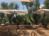 Avocado Hôtel Restaurant Отели в г. Кастанье