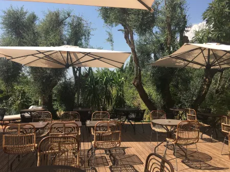 Avocado Hôtel Restaurant Отели в г. Сен-Мартен-дю-Вар