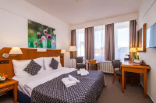 LH Hotel Mědínek Old Town Hotels in 