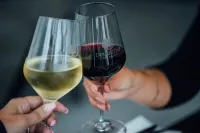 DoubleTree by Hilton Montreal Airport - bar