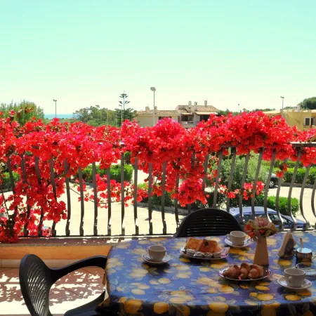 Palm Village