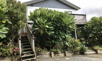 Mangawhai Retreat Apartments