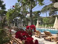 Hotel Greif - Infinity Pools