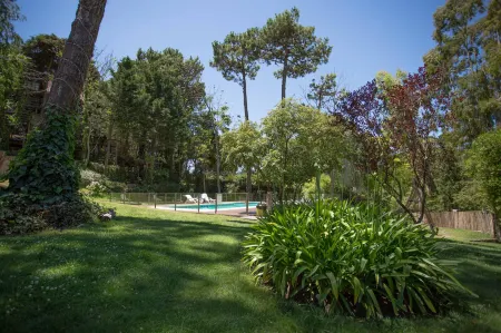 Posada del Bosque by HS