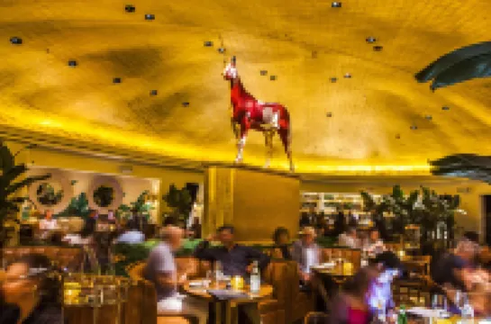 邁阿密海灘法埃納酒店