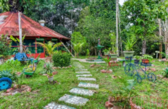 Amazonia Jungle Hotel Отели в г. 