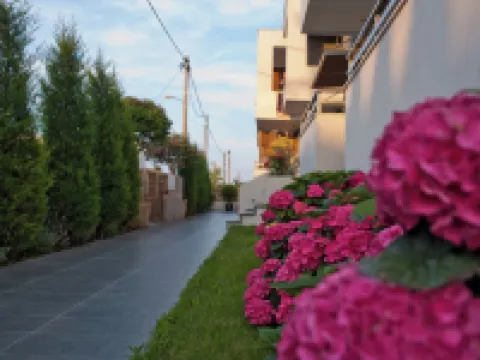 Chrysalis Studios Hotels in Volvi