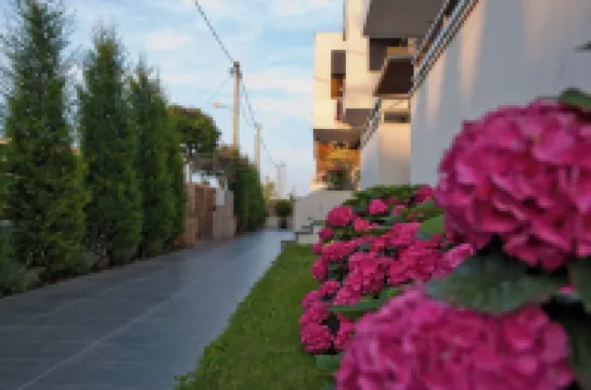 Chrysalis Studios Hotels in Volvi