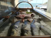 Promar - Eco Beach & Spa Hotel - Breakfast
