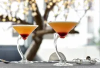 The Prime Energize Hotel & SPA - bar