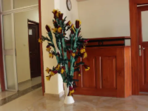 Hotel Massoh Hôtels à : Bertoua