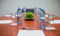 Aranzazu Plaza Kristal Aguascalientes - Business