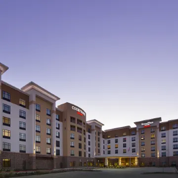 Courtyard Dallas DFW Airport North/Grapevine