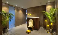 阿格拉金色鬱金香酒店 - SPA