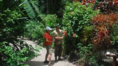 Ian Anderson's Caves Branch Adventure Co Hoteles en 