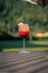 Villa Itaipava Resort & Conventions - bar