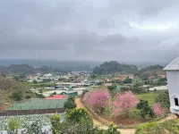 Doi Thong Moc Chau - by BAY LUXURY Hotels in Moc Son