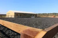 Host Stay Redwings Sanctuary Rooms