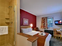 Road Lodge JNB Airport Hotels in Germiston